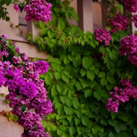 Large And Charming Apartment Near Beach With Big & Sunny Terrace Сумартин Экстерьер фото